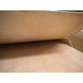 China Hot Sale! Commercial Plywood